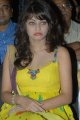 Sneha Ullal Cute Stills