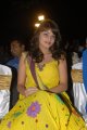 Sneha Ullal Cute Stills