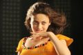 Action 3D Movie Actress Sneha Ullal Hot Spicy Stills