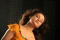 Actress Sneha Ullal Spicy Hot Stills in Action 3D Movie