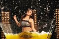 Action 3D Movie Actress Sneha Ullal Spicy Hot Stills
