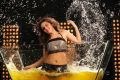 Actress Sneha Ullal Spicy Hot Stills in Action 3D Movie