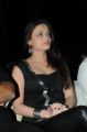 Telugu Actress Sneha Ullal Hot Pics in Black Dress
