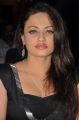 Actress Sneha Ullal in Black Dress Hot Pics
