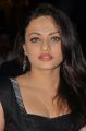 Actress Sneha Ullal in Black Dress Hot Pics