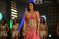 Sneha Ullal Ding Dong Item Song Hot Pics in Action 3D Movie