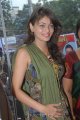 Sneha Ullal Cute Pics