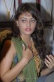 Sneha Ullal Cute Pics