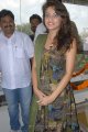 Sneha Ullal Cute Pics