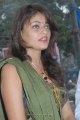 Sneha Ullal Cute Pics