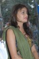 Sneha Ullal Cute Pics