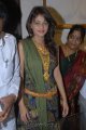 Sneha Ullal Cute Pics