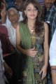 Sneha Ullal Cute Pics