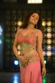 Actress Sneha Ullal Hot Spicy Gallery in Light Red Dress