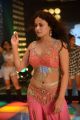 Actress Sneha Ullal Spicy Gallery in Action 3D Movie