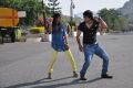 Snehame Thoduga Movie Stills