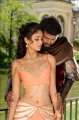 Actress Ileana Hot Stills in Snehitudu