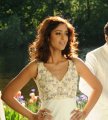 Snehitudu Ileana Hot Stills