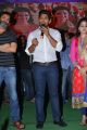 Actor Allu Arjun @ S/o Satyamurthy Success Celebrations at Vizag Photos