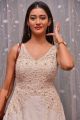 Pooja Jhaveri @ Sobhan Babu Awards 2018 Function Stills