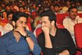 Naga Chaitanya, Akhil @ Soggade Chinni Nayana Audio Launch Photos