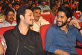 Soggade Chinni Nayana Audio Launch Photos