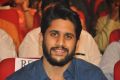 Naga Chaitanya @ Soggade Chinni Nayana Audio Launch Photos