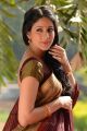 Actress Lavanya Tripathi in Sokkali Mainar Movie New Photos