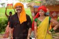 Nagarjuna, Hamsa Nandini in Sokkali Mainar Movie New Photos