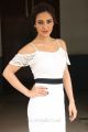 Actress Neha Sharma @ Solo Movie Team Meet Photos