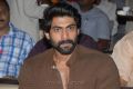 rana At Something Something Audio Launch Stills