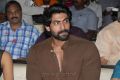 rana At Something Something Audio Launch Stills