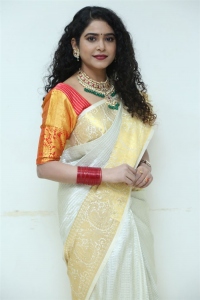 Bullet Satyam Actress Sonakshi Varma Saree Pics
