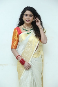 Bullet Satyam Actress Sonakshi Varma Saree Pics