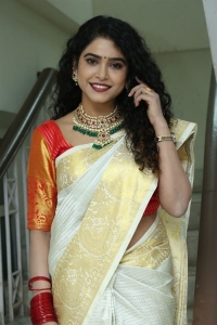 Bullet Satyam Actress Sonakshi Varma Saree Pics