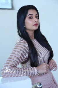 Banaras Movie Actress Sonal Monteiro Interview Photos