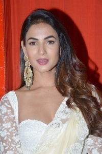 F3 Movie Heroine Sonal Chauhan New Pictures