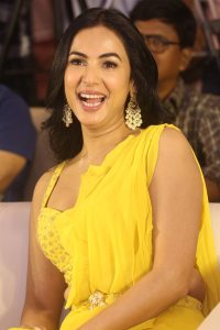 Sonal Chauhan New Pictures @ Legend 10 Years Celebration