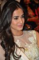 Actress Sonal Chauhan Photos @ Pandaga Chesko Audio Launch