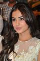 Actress Sonal Chauhan Photos @ Pandaga Chesko Audio Release