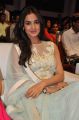 Actress Sonal Chauhan Photos @ Pandaga Chesko Audio Release