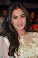 Actress Sonal Chauhan Photos @ Pandaga Chesko Audio Release