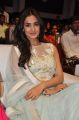 Actress Sonal Chauhan Photos @ Pandaga Chesko Audio Release