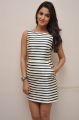 Actress Sonal Chauhan Images at Pandaga Chesko Interview