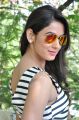 Actress Sonal Chauhan Images at Pandaga Chesko Movie Interview