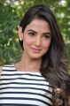 Actress Sonal Chauhan Images at Pandaga Chesko Interview