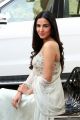 Actress Sonal Chauhan New Photos @ Ruler Movie Interview