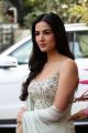 Actress Sonal Chauhan New Photos @ Ruler Movie Interview