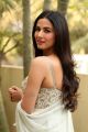 Actress Sonal Chauhan New Photos @ Ruler Movie Interview