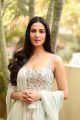 Actress Sonal Chauhan New Photos @ Ruler Movie Interview